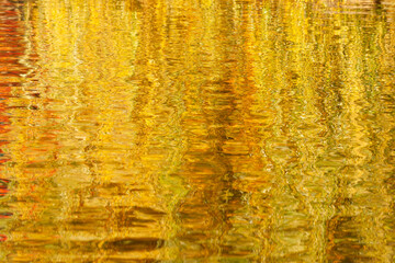 Abstract background from the reflection of fall foliage in the pond of Boston Common, Massachusetts, USA