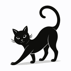 black and white cat