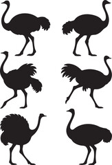 Black and white Ostrich silhouette vector set, emu bird silhouette