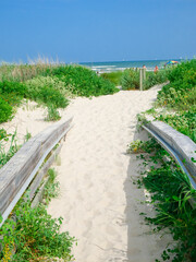 Rainbow umbrella and beach activities on sandy path leads from boardwalk to East Beach in Galveston, Texas. Coastal vegetation and beachgoers under umbrellas Gulf Coast beach activities, relax