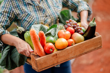 Fresh Harvested Vegetables and Fruits in Wooden Box Outdoors
