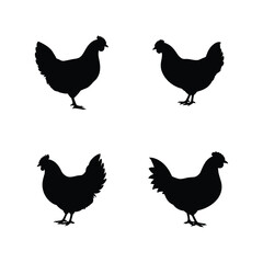 Fototapeta premium Chicken Silhouette Vector Set – Black Hen Animal Icons Isolated on White Background
