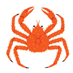 Red king crab isolated on the white background.vector illustration