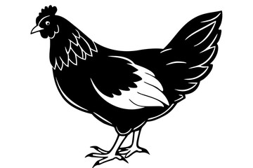 Fototapeta premium rooster isolated on white background
