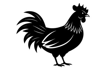 rooster vector illustration