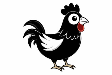 rooster isolated on white background