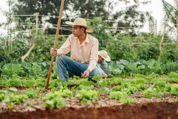 Young Farmer Working in Lush Vegetable Field with Determination