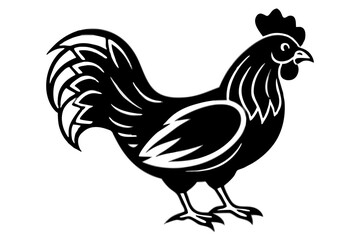 rooster vector illustration