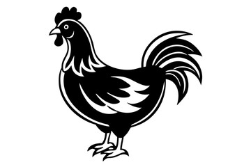 rooster isolated on white background