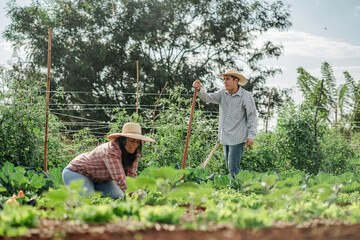Rural Farmers Working Together in a Lush Green Vegetable Field