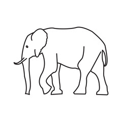 Fototapeta premium Elephant icon on white background