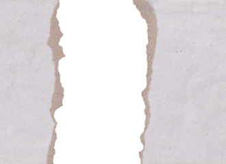 Torn Paper Vertical Border Freame on png Background - Distressed Cardboard Texture with Copy Space for Message and Design,  Kraft paper , 