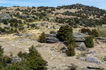Scenic Rocky Landscape with Evergreen Trees