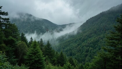 Serene mountainous landscape with majestic mountain range against cloudy sky. Dense forests cover mountains providing depth, perspective. Green, brown, blue colors reflect natural surroundings.