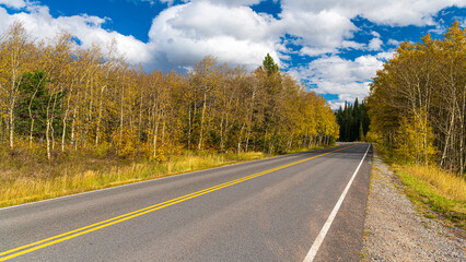 Fototapeta premium Tierwelten und faszinierende Landschaften im Glacier Nationalpark