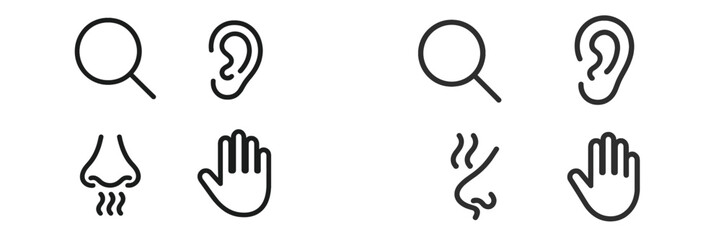 Icons representing the five senses displayed in a minimalistic design on a white background