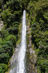 Fototapeta premium Majestic Waterfall Surrounded by Lush Greenery