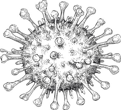 Detailed black and white illustration of a virus with spikes, biological concept. Vector illustration