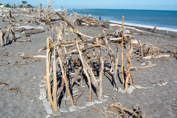 Driftwood Structure on a Beach