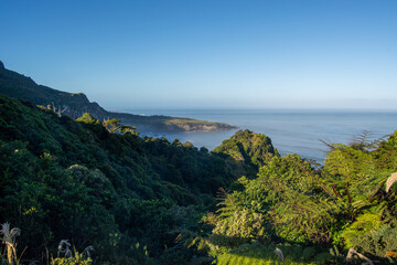 Fototapeta premium Scenic Coastal View with Lush Greenery