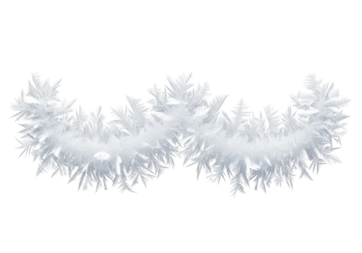 A delicate frost formation, intricate transparent ice crystals, fractal patterns, feathery textures, and sharp contours against a clean white background with bright studio lighting, concept of winter