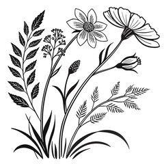 Black and white vector floral background with seamless flower pattern and nature elements