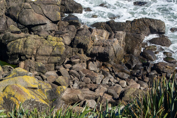 Rocky Coastline with Waves and Mossy Rocks