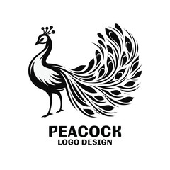 Peacock Vector Logo Design 