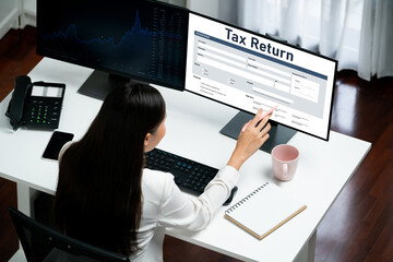 Online tax return form for submitting individual income tax return form brisk on the internet...