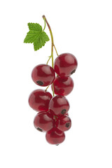 Red currant on a white isolated background