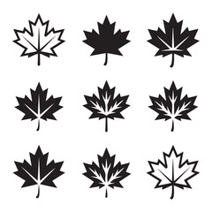 Black & White Maple Leaf Line Icon Set, Art & Illustration.