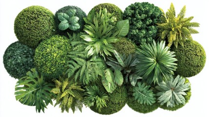 Set of round green garden wall panels from tropical plants, cut out