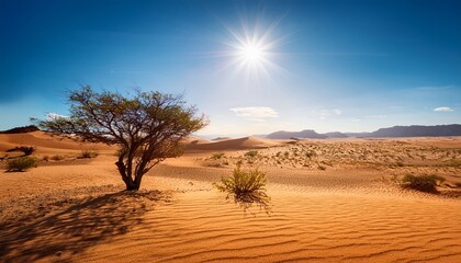 a desert landscape with a tree in the foreground the sky is blue and the sun is shining brightly