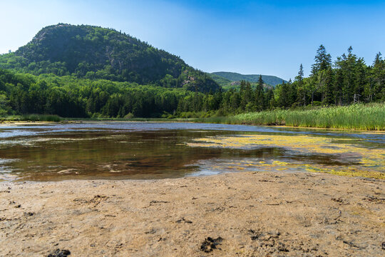 Acadia 