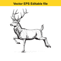 A majestic stag with large antlers running