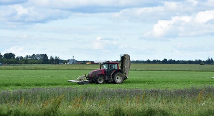 Obraz premium Red tractor working in a green field on a summer day. Rural farming equipment mowing or plowing grass in a flat agricultural landscape.