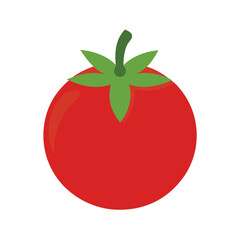 tomato vector illustration