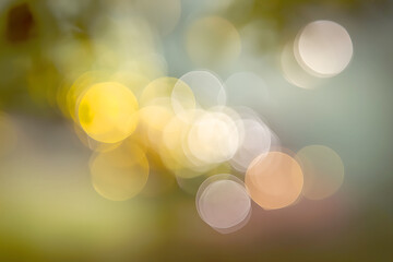 Beautiful Natural Bokeh Backgrounds with Glistening Light Orbs