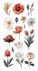 A vibrant sticker sheet displays an array of beautifully detailed flower illustrations. Each design features diverse petals and colors making it ideal for craft projects and decoration purposes
