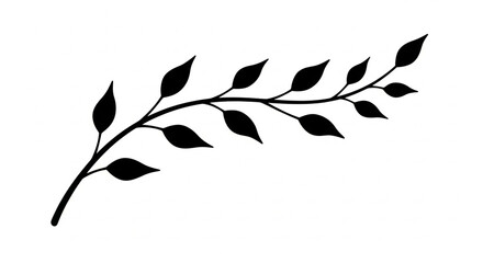black and white feathers