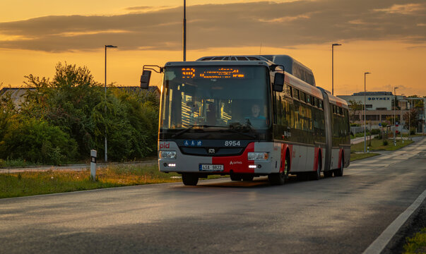 Sunset bus of public transport capital Prague near town Bustehrad CZ 07 18 2025