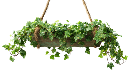 Hanging Trough Planter with Trailing Ivy for Balcony or Patio Decoration and Greenery