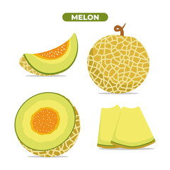 Melon vector. ripe and sweet, isolated on white background