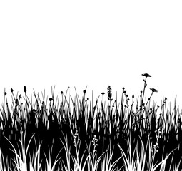 Wildflower Meadow Silhouette: A striking monochrome illustration of tall grass and wildflowers against a white backdrop, showcasing bold lines and graphic simplicity.