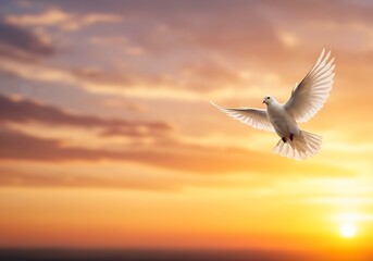 White dove flying against a colorful sunset sky  