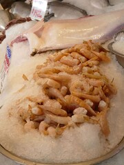 Glistening seafood arranged on crushed ice, displaying fresh shrimps and large fish at busy market stall highlighting culinary variety