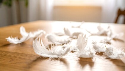 Scattered white feathers on a light wooden table