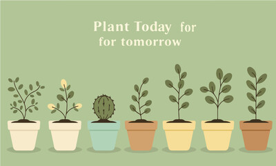 Obraz premium Flat Illustration Set Of Various Plant Types In Colorful Flower Pots Suitable For Organic Branding Or Poster Flat Design Style