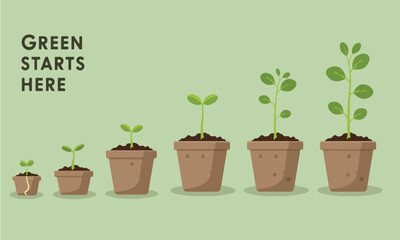 Flat Illustration Set Showing Plant Growth Progress In Brown Pots Suitable For Learning Materials And Posters Flat Design Style