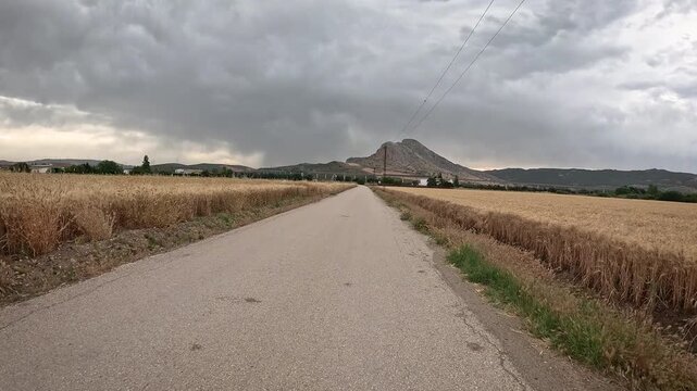 Camino Mozarabe de Santiago - a paved road through wheat fields leaving Antequera, province of Malaga, Andalusia, Spain